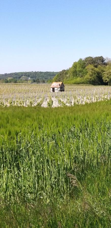 Le Clos De La Chesneraie Saint-Georges-sur-Cher Kültér fotó